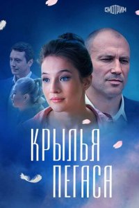 Крылья Пегаса 1 сезон (сериал, 2017)