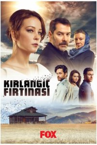 Шторм ласточки 1 сезон (сериал, 2017)