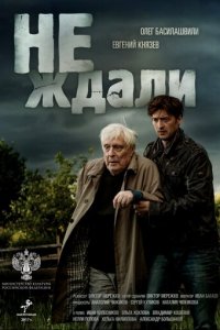 Не ждали 1 сезон (сериал, 2018)