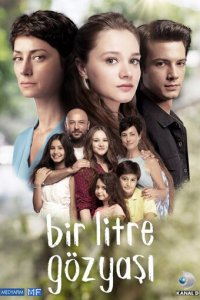 Один литр слёз 1 сезон (сериал, 2018)
