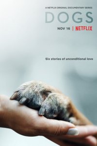 Собаки 1-2 сезон (сериал, 2018)
