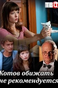 Котов обижать не рекомендуется 1 сезон (сериал, 2018)