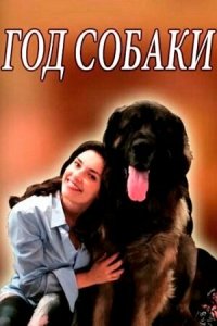 Год собаки 1 сезон (сериал, 2018)