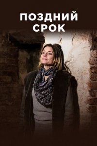 Поздний срок 1 сезон (сериал, 2019)