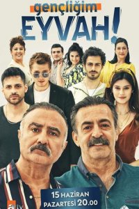 Ах, моя молодость! 1 сезон (сериал, 2020)