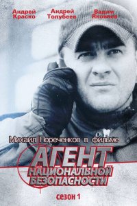 Агент национальной безопасности 1-6 сезон (сериал, 1999)