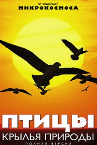 Птицы: Крылья природы 1 сезон (сериал, 2002)