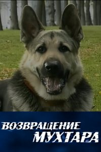 Возвращение Мухтара 1-10 сезон (сериал, 2003)