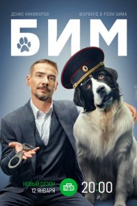БИМ 1-3 сезон (сериал, 2021)