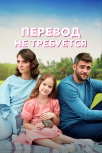 Перевод не требуется 1 сезон (сериал, 2020)