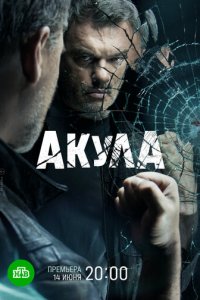 Акула 1 сезон (сериал, 2021)