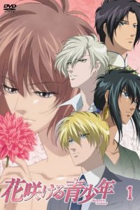 Цветущая юность 1 сезон (аниме сериал, 2009)
