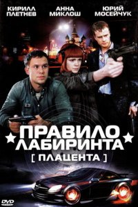 Правило лабиринта: Плацента 1 сезон (сериал, 2009)