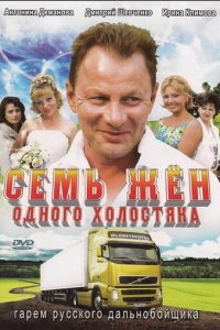 Семь жен одного холостяка 1 сезон (сериал, 2009)