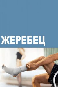 Жеребец 1-3 сезон (сериал, 2009)