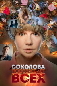 Соколова подозревает всех 1-6 сезон (сериал, 2022)