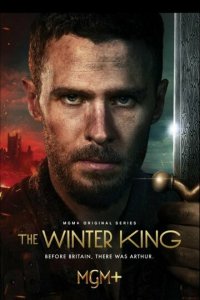 Зимний король 1 сезон (сериал, 2023)