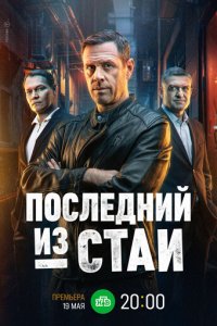 Последний из стаи 1 сезон (сериал, 2023)