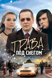 Трава под снегом 1 сезон (сериал, 2010)