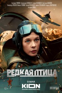 Редкая птица 1 сезон (сериал, 2024)