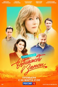 Однажды в Залесье 1 сезон (сериал, 2025)