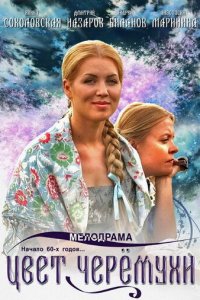 Цвет черемухи 1 сезон (сериал, 2012)
