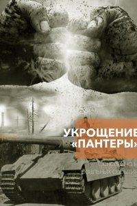 Укрощение «Пантеры» 1 сезон (сериал, 2025)