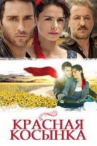 Красная косынка 1 сезон (сериал, 2011)