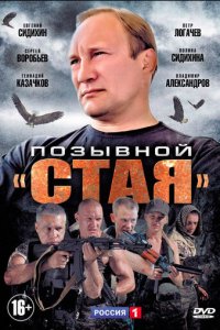 Позывной «Стая» 1-2 сезон (сериал, 2013)