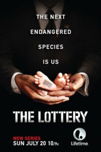 Лотерея 1 сезон (сериал, 2014)