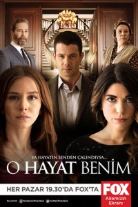 Это моя жизнь 1-4 сезон (сериал, 2014)