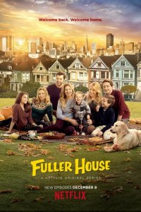Более полный дом 1-4 сезон (сериал, 2016)