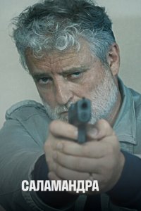 Саламандра 1-2 сезон (сериал, 2012)
