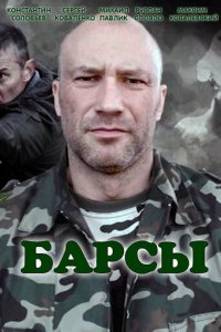 Барсы 1 сезон (сериал, 2015)