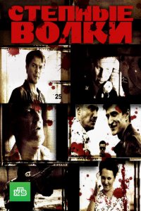 Степные волки 1 сезон (сериал, 2016)