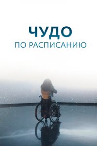 Чудо по расписанию 1 сезон (сериал, 2016)