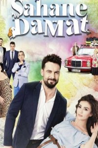 Замечательный зять 1 сезон (сериал, 2016)