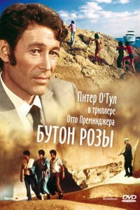 Бутон розы (фильм, 1975)