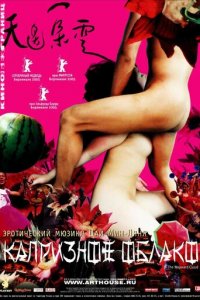 Капризное облако (фильм, 2005)
