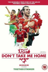 Не забирай меня домой (фильм, 2017)