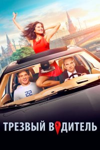 Трезвый водитель (фильм, 2018)