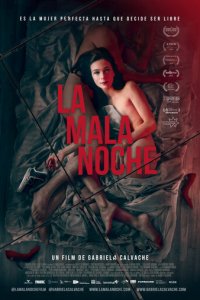 Плохая ночь (фильм, 2019)