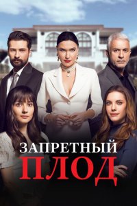 Запретный плод 1-6 сезон (сериал, 2018)