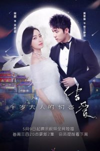 Узелок любви: Первая любовь Его Превосходительства 1 сезон (сериал, 2018)