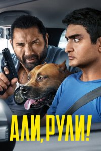 Али, рули! (фильм, 2019)