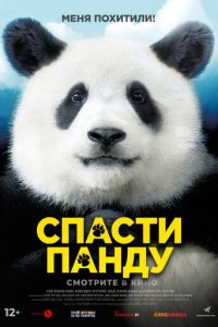 Спасти панду (фильм, 2020)