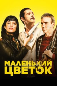 Маленький цветок (фильм, 2020)