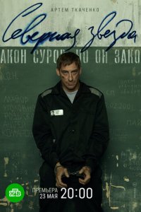 Северная звезда 1 сезон (сериал, 2020)