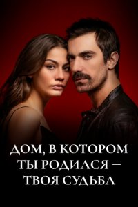 Дом, в котором ты родился - твоя судьба 1-2 сезон (сериал, 2019)