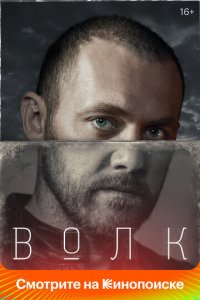 Волк 1 сезон (сериал, 2020)